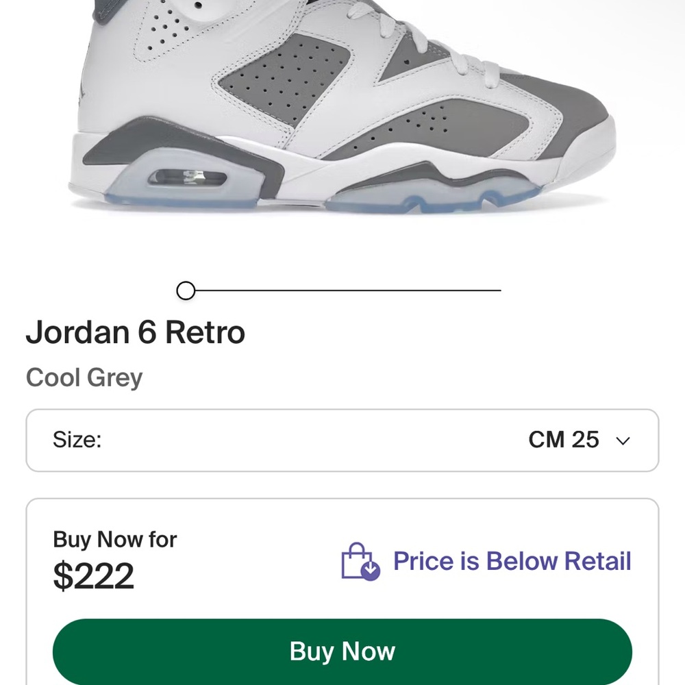 Jordan 6 Retro Cool Gray Sneakers